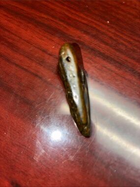 Carved Dark Brown Tooth